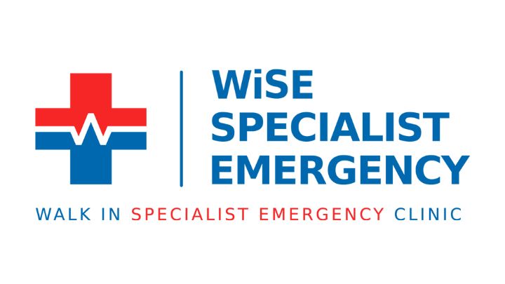 WISE ACEM25 SPONEX LOGO 720x405 1